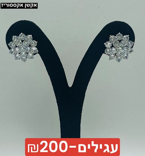 עגילים אבני קריסטל