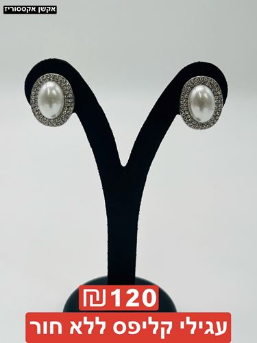 עגילי קליפס