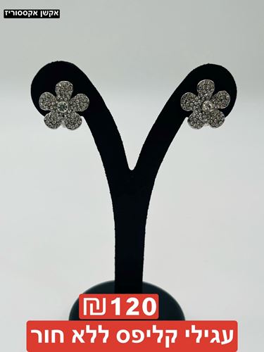 עגילי קליפס