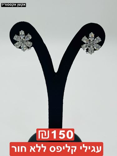 עגילי קליפס