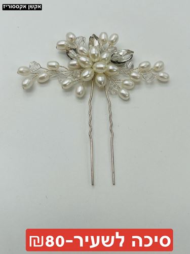 סיכה גמישה לשעיר