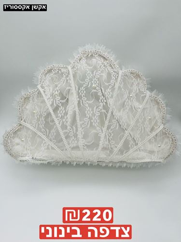 צדפה בינוני