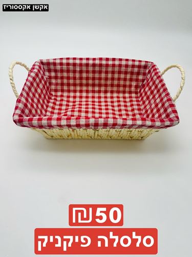 סלסלה פיקניק