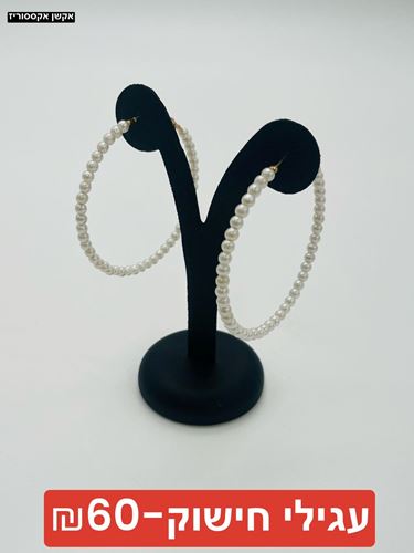 עגילי חישוק