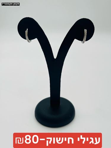 עגילי חישוק